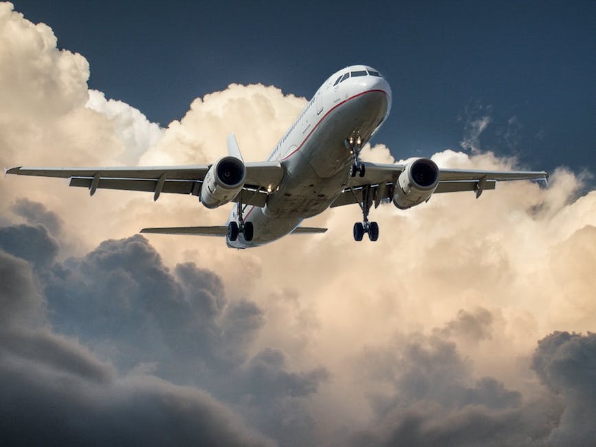 Fly Smarter With The Best Flight To Miami