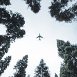 Flights to Lisbon Portugal: Cheap Flights and Travelling Tips 