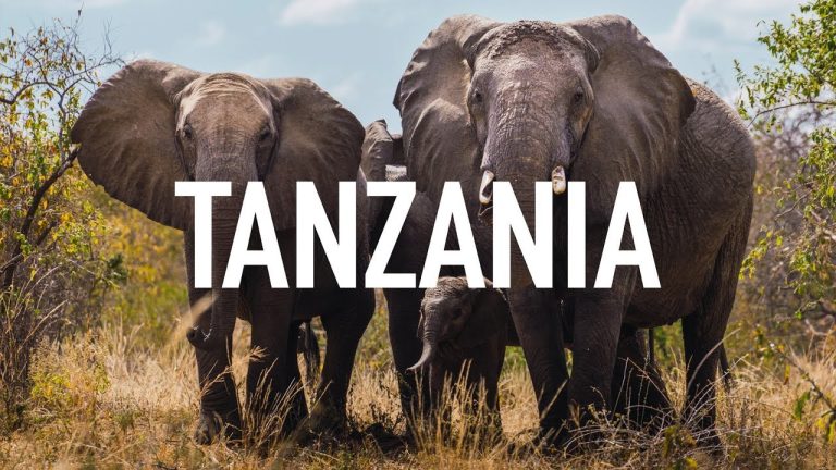 Exploring Tanzaniz: A Unique Travel Experience